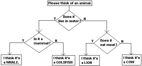 More complex animal identifier