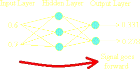 Back Propagation Step 1