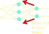 Back Propagation Step 3